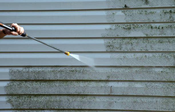 Best Attic Mold Removal  in Hot Springs, SD