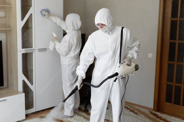 Attic Mold Removal in Hot Springs, SD