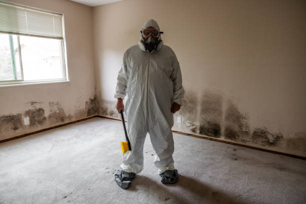 Best Residential Mold Removal  in Hot Springs, SD