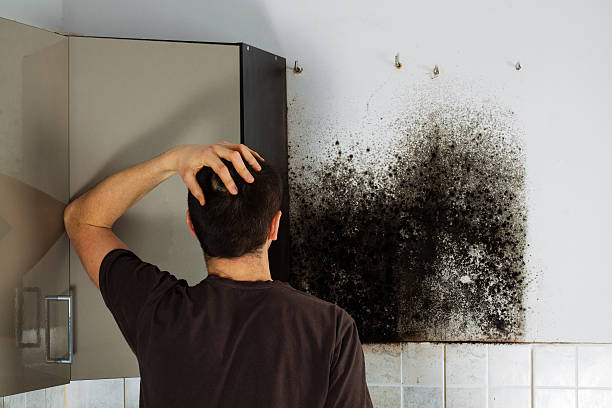 Best Mold Cleaning Services  in Hot Springs, SD